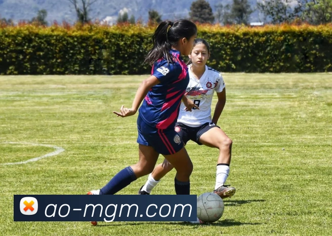 美高梅官网APP 高清赛事图